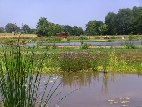 etang truite hautrage